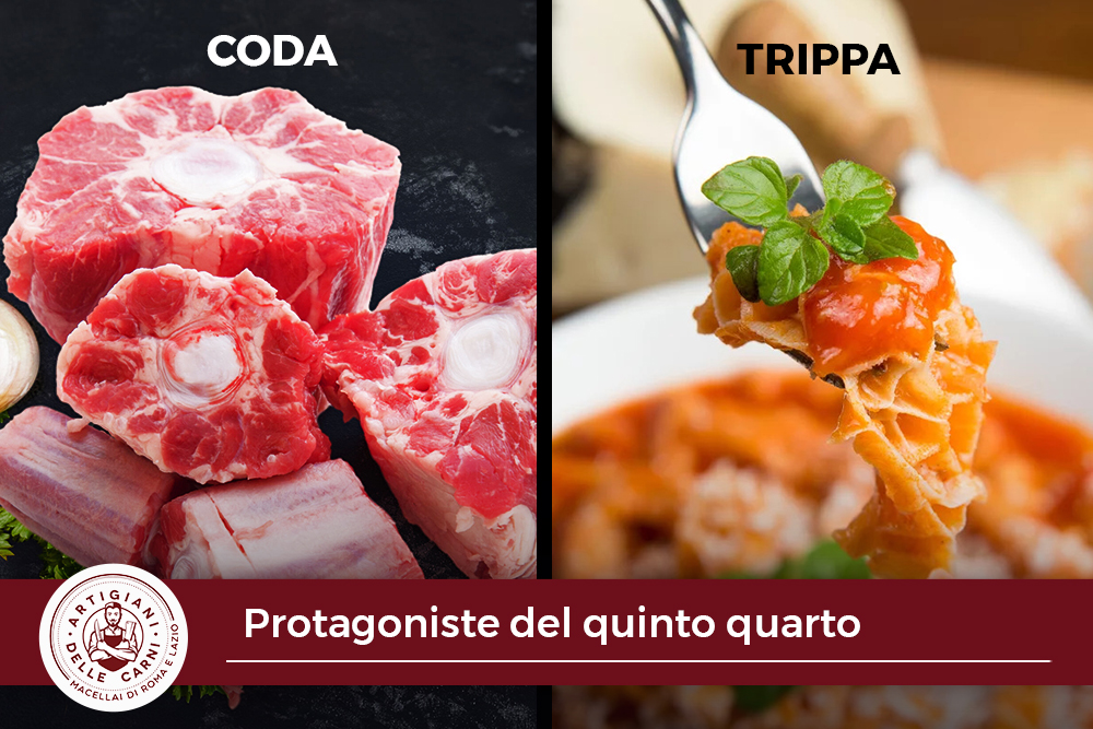 quinto_quarto